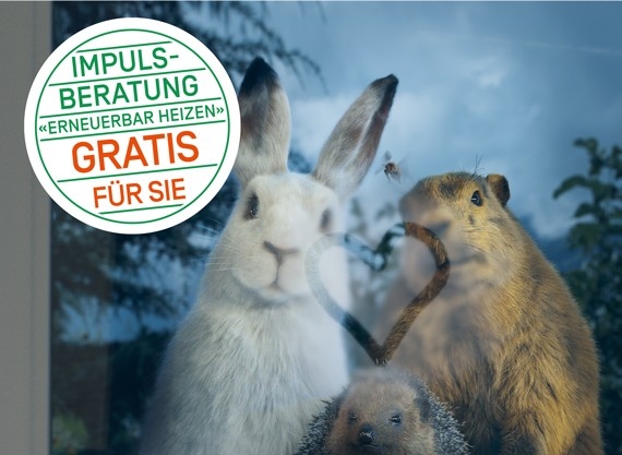Werbesujet für die Impulsberatung.